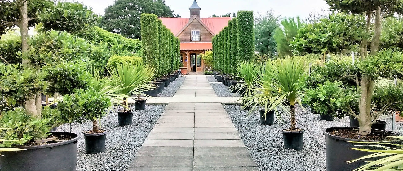 architectural plants shop pulborough